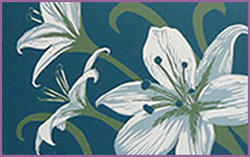 bPrintmaking